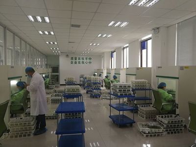 夏莊、賀店工作隊赴蘭考考察構樹產業扶貧項目 技術推廣助力鄉村振興